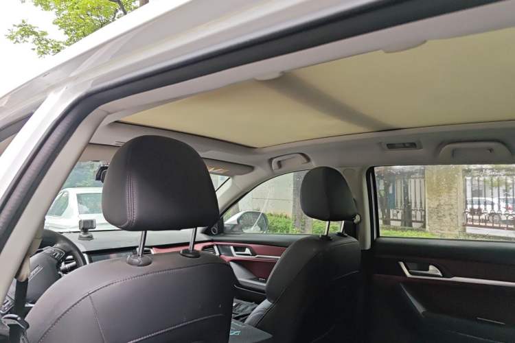 Used Haval H6 Coupe 2019 1.5T Automatic Two-Wheel Drive Elite Version China VI Standard Headliner