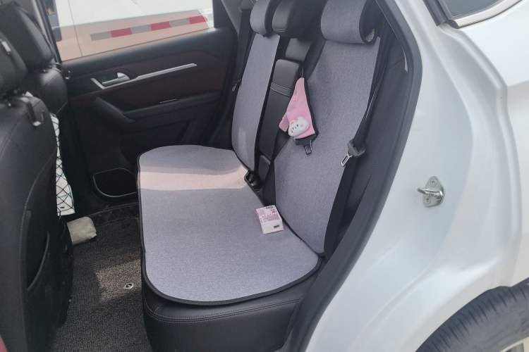 Used Haval H6 Coupe 2019 1.5T Automatic Two-Wheel Drive Elite Version China VI Standard Left Rear Seat
