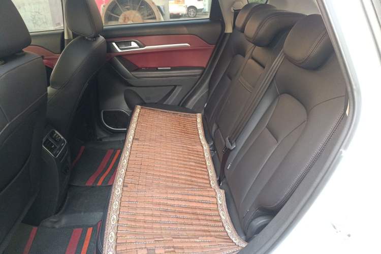 Used Haval H6 Coupe 2019 1.5T Automatic Two-Wheel Drive Luxury Smart Connectivity Version China VI Standard Left Rear Seat
