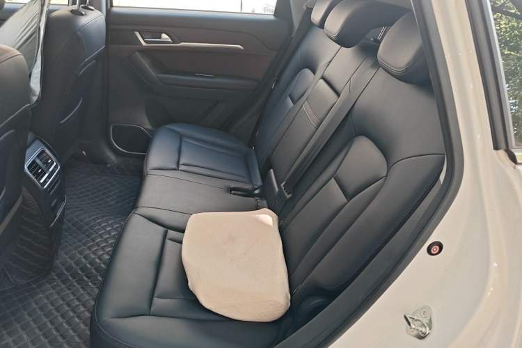 Used Haval H6 Coupe 2019 1.5T Automatic Two-Wheel Drive Elite Version China VI Standard Left Rear Seat