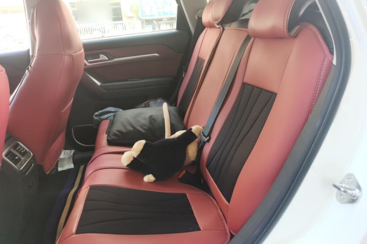 Used Haval H6 Coupe 2019 1.5T Automatic Two-Wheel Drive Ultra-Luxury Smart Connectivity Model China VI Standard Left Rear Seat