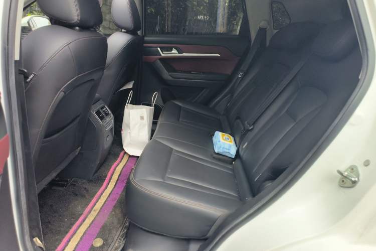 Used Haval H6 Coupe 2019 1.5T Automatic Two-Wheel Drive Luxury Smart Connectivity Version China V Standard Left Rear Seat