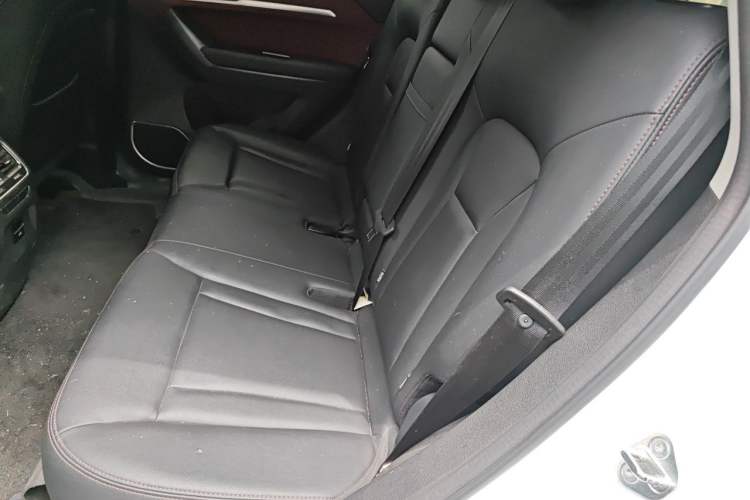 Used Haval H6 Coupe 2019 1.5T Automatic Two-Wheel Drive Elite Version China VI Standard Left Rear Seat