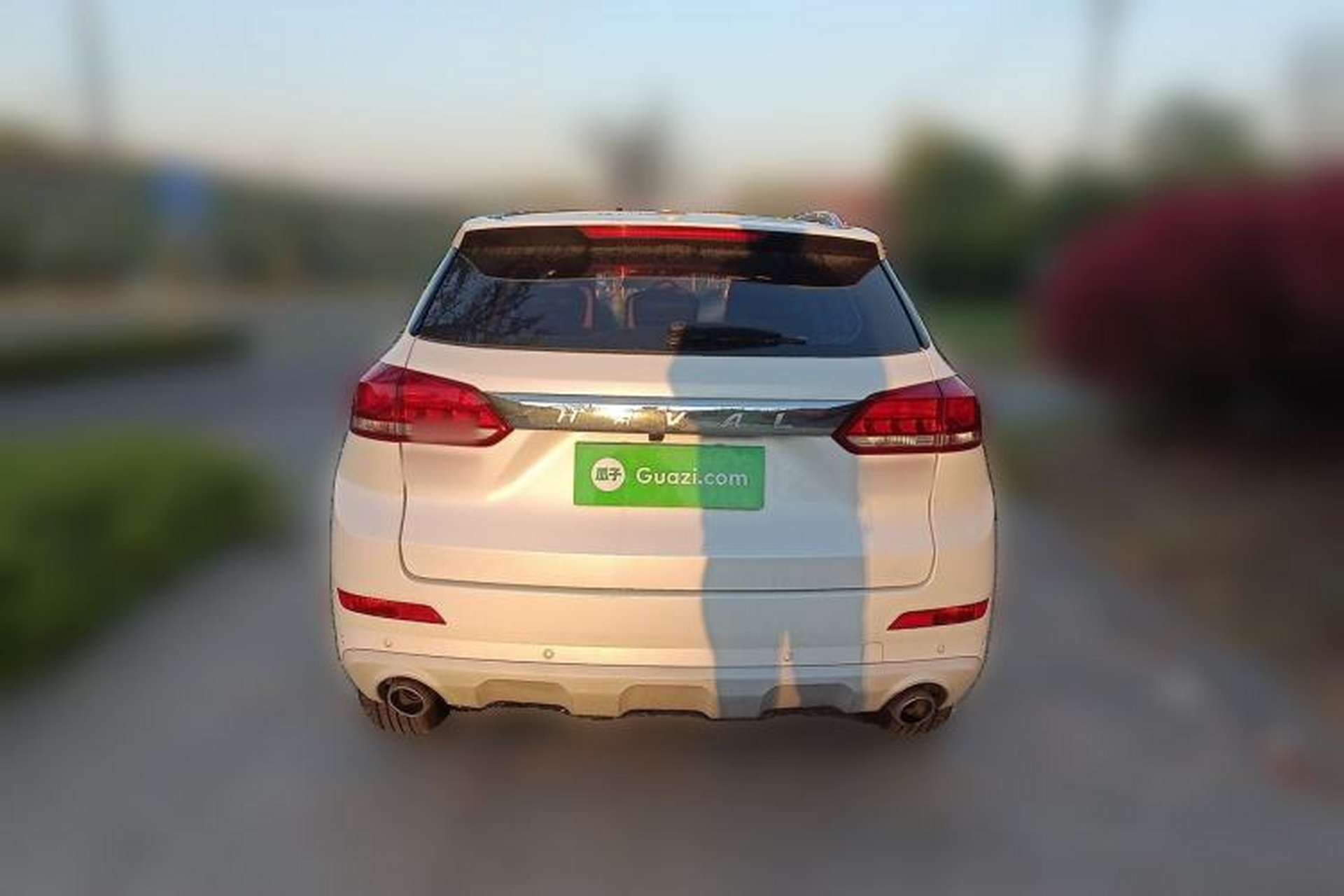 Used Haval H6 Coupe 2019 1.5T Automatic Two-Wheel Drive Luxury Smart Connectivity Version China VI Standard Rear