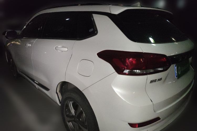 Used Haval H6 Coupe 2019 1.5T Automatic Two-Wheel Drive Luxury Smart Connectivity Version China V Standard Rear Left 45 Deg