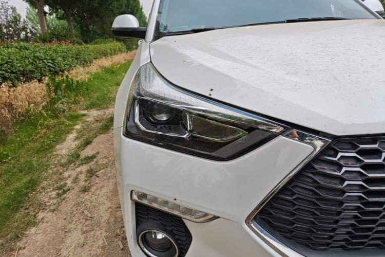 Used Haval H6 Coupe 2019 1.5T Automatic Two-Wheel Drive Luxury Smart Connectivity Version China V Standard Right Front Headlight