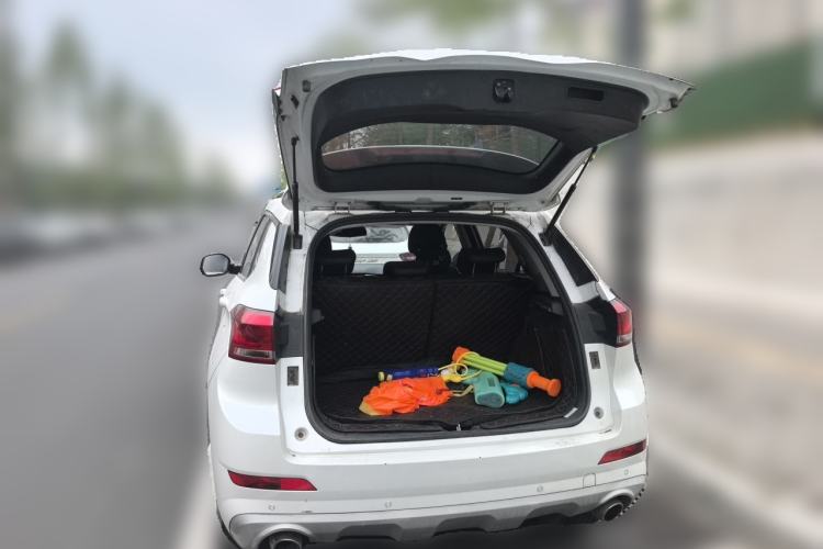 Used Haval H6 Coupe 2019 1.5T Automatic Two-Wheel Drive Elite Version China VI Standard Trunk