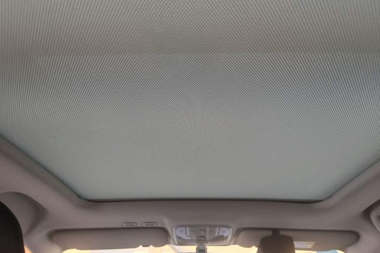 Used Haval H6 Coupe 2020 Smart Connect Version 1.5T Automatic Two-Wheel Drive Elite Model Headliner
