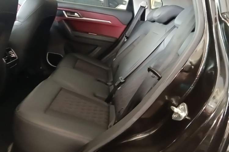 Used Haval H6 Coupe 2020 Smart Connect Version 1.5T Automatic Two-Wheel Drive Elite Model Left Rear Seat