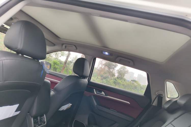 Used Haval H6 Coupe 2020 Smart Connect Version 1.5T Automatic Two-Wheel Drive Elite Model Headliner