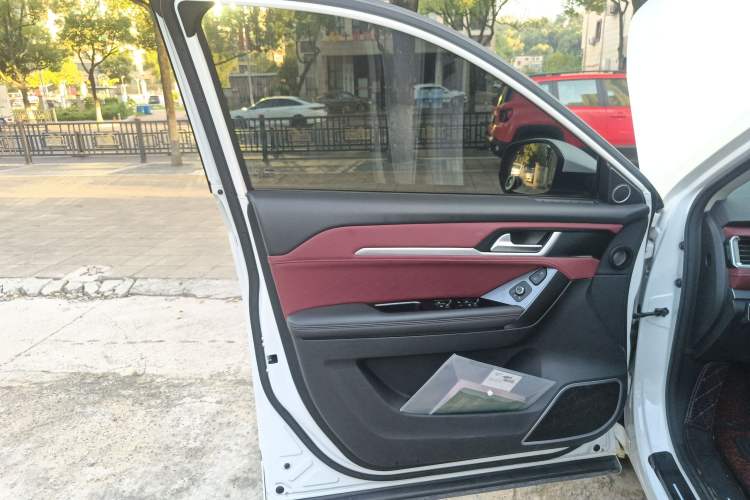 Used Haval H6 Coupe 2020 Smart Connect Version 1.5T Automatic Two-Wheel Drive Elite Model Left Front Door Interior
