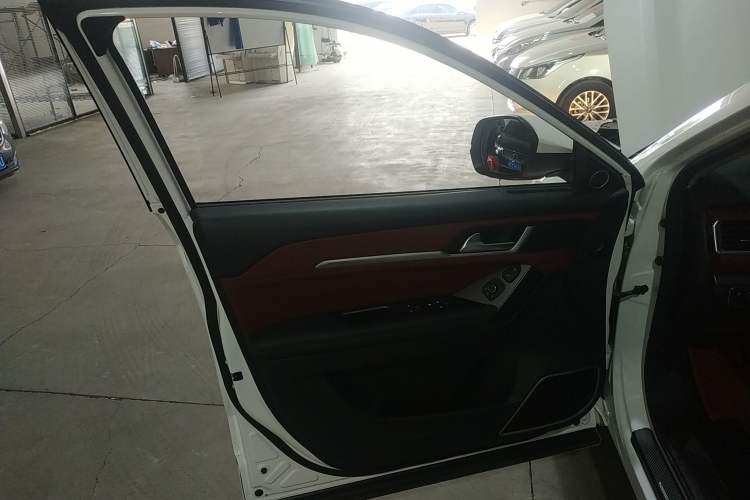 Used Haval H6 Coupe 2020 Smart Connect Version 1.5T Manual Two-Wheel Drive Elite Model Left Front Door Interior