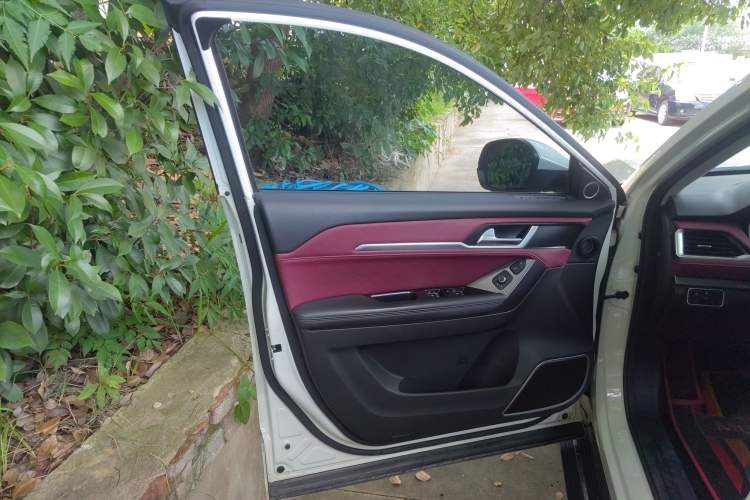 Used Haval H6 Coupe 2020 Smart Connect Version 1.5T Automatic Two-Wheel Drive Elite Model Left Front Door Interior