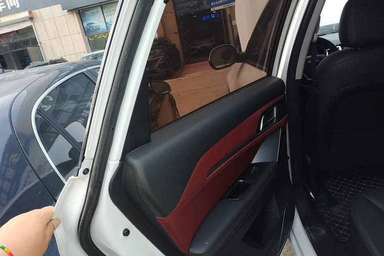 Used Haval H6 Coupe 2020 Smart Connect Version 1.5T Manual Two-Wheel Drive Elite Model Left Rear Door Interior