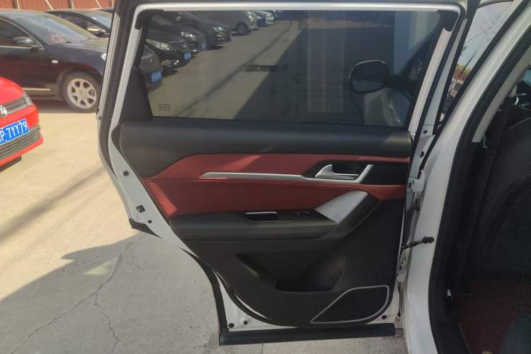Used Haval H6 Coupe 2020 Smart Connect Version 1.5T Automatic Two-Wheel Drive Elite Model Left Rear Door Interior