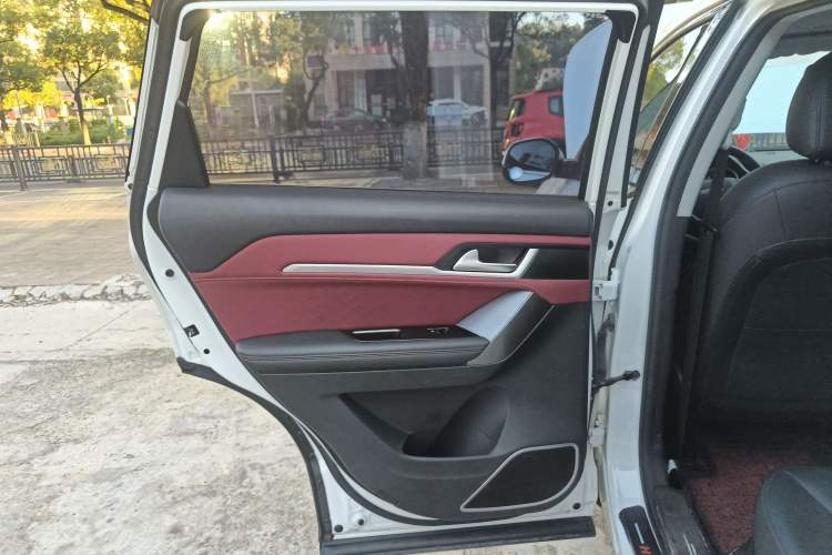 Used Haval H6 Coupe 2020 Smart Connect Version 1.5T Automatic Two-Wheel Drive Elite Model Left Rear Door Interior