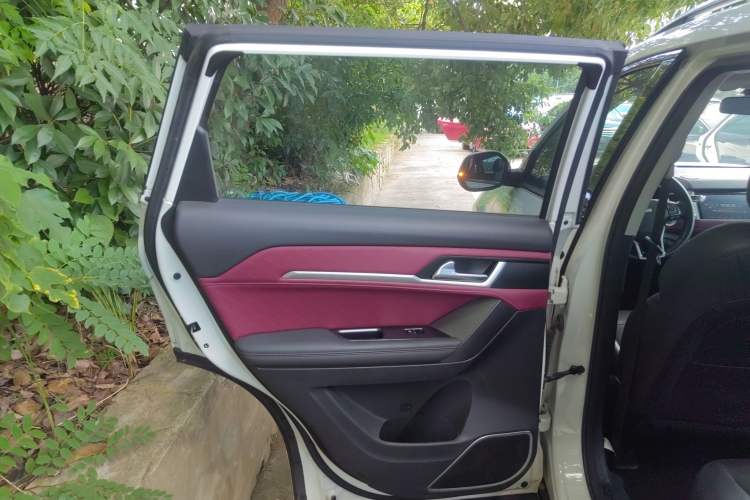 Used Haval H6 Coupe 2020 Smart Connect Version 1.5T Automatic Two-Wheel Drive Elite Model Left Rear Door Interior