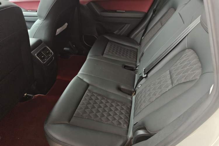 Used Haval H6 Coupe 2020 Smart Connect Version 1.5T Automatic Two-Wheel Drive Elite Model Left Rear Seat