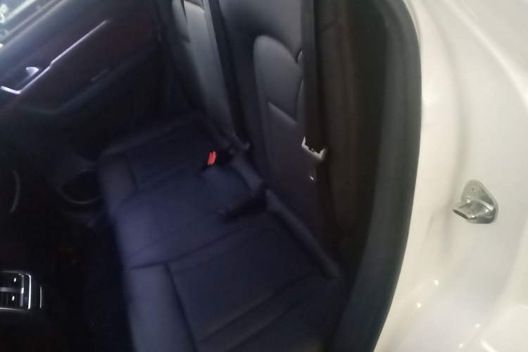 Used Haval H6 Coupe 2020 Smart Connect Version 1.5T Automatic Two-Wheel Drive Elite Model Left Rear Seat