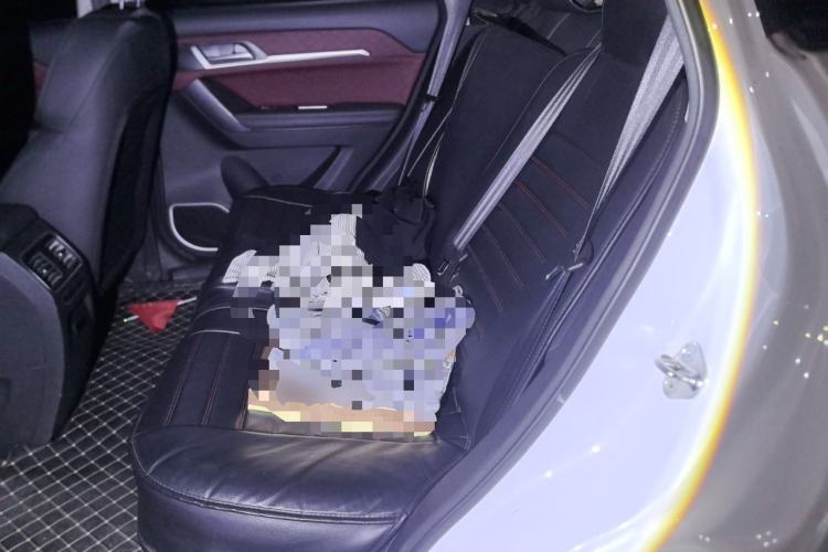 Used Haval H6 Coupe 2020 Smart Connect Version 1.5T Automatic Two-Wheel Drive Elite Model Left Rear Seat