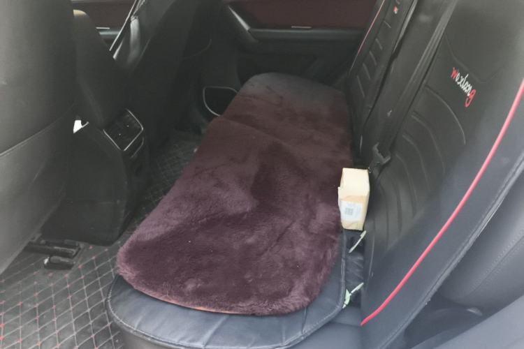 Used Haval H6 Coupe 2020 Smart Connect Version 1.5T Automatic Two-Wheel Drive Elite Model Left Rear Seat