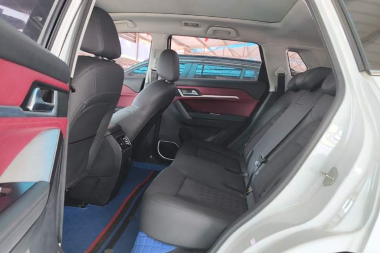 Used Haval H6 Coupe 2020 Smart Connect Version 1.5T Automatic Two-Wheel Drive Elite Model Left Rear Seat