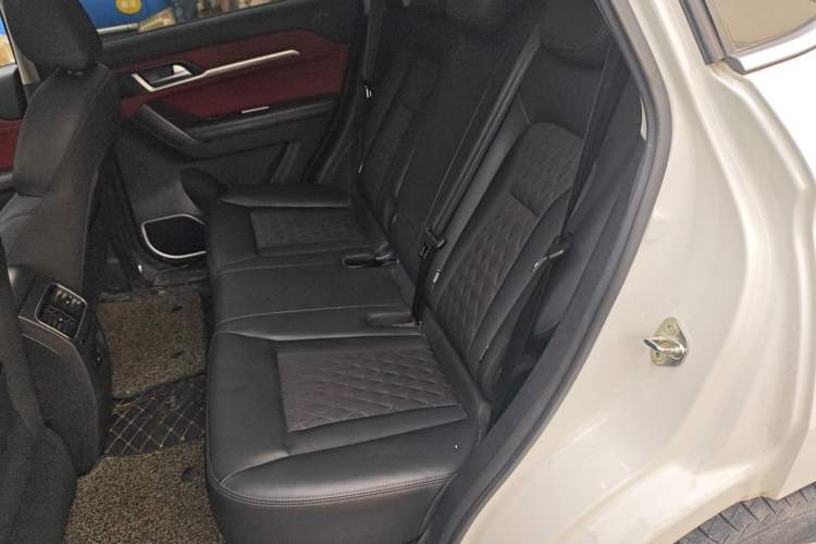 Used Haval H6 Coupe 2020 Smart Connect Version 1.5T Automatic Two-Wheel Drive Elite Model Left Rear Seat