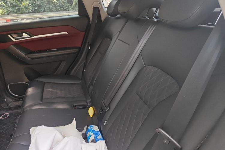 Used Haval H6 Coupe 2020 Smart Connect Version 1.5T Automatic Two-Wheel Drive Elite Model Left Rear Seat
