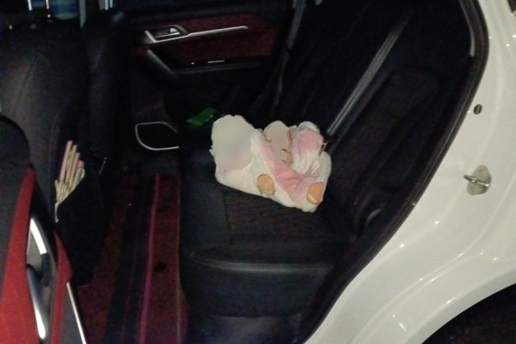 Used Haval H6 Coupe 2020 Smart Connect Version 1.5T Automatic Two-Wheel Drive Urban Model Left Rear Seat