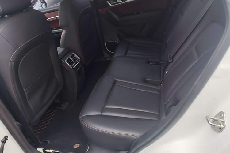 Used Haval H6 Coupe 2020 SmartConnect Edition 1.5T Automatic Two-Wheel Drive Luxury SmartConnect Model Left Rear Seat