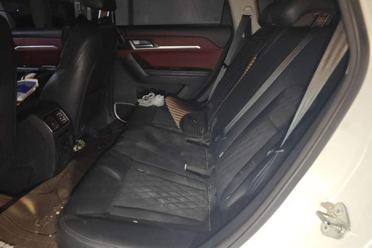 Used Haval H6 Coupe 2020 Smart Connect Version 1.5T Automatic Two-Wheel Drive Elite Model Left Rear Seat