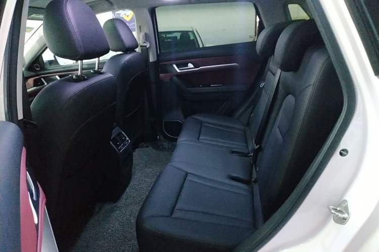 Used Haval H6 Coupe 2020 Smart Connect Version 1.5T Automatic Two-Wheel Drive Elite Model Left Rear Seat