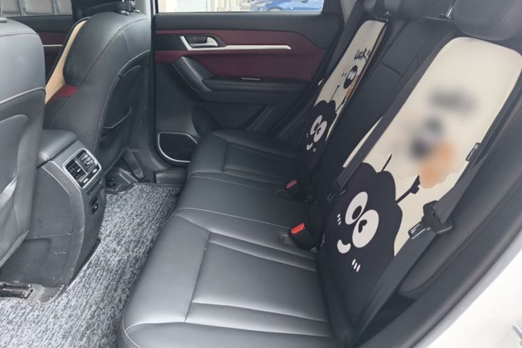 Used Haval H6 Coupe 2020 SmartConnect Edition 1.5T Automatic Two-Wheel Drive Luxury SmartConnect Model Left Rear Seat