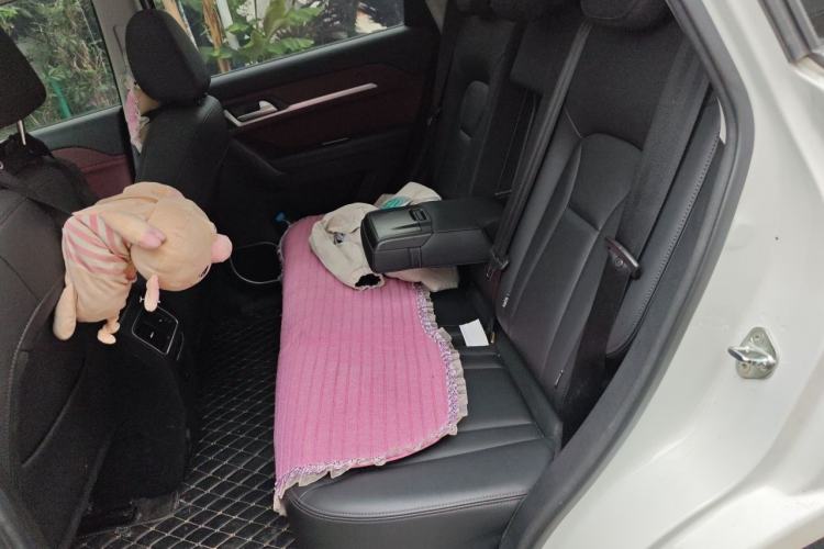 Used Haval H6 Coupe 2020 Smart Connect Version 1.5T Automatic Two-Wheel Drive Urban Model Left Rear Seat