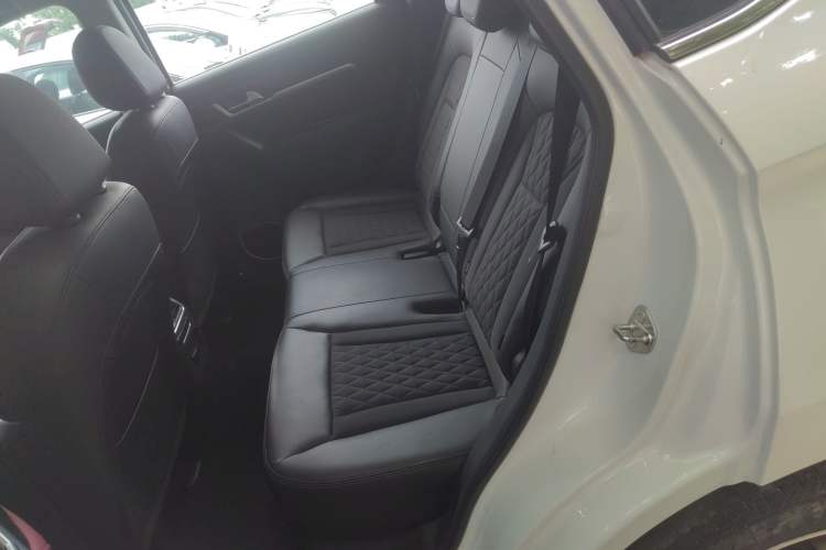 Used Haval H6 Coupe 2020 Smart Connect Version 1.5T Automatic Two-Wheel Drive Elite Model Left Rear Seat