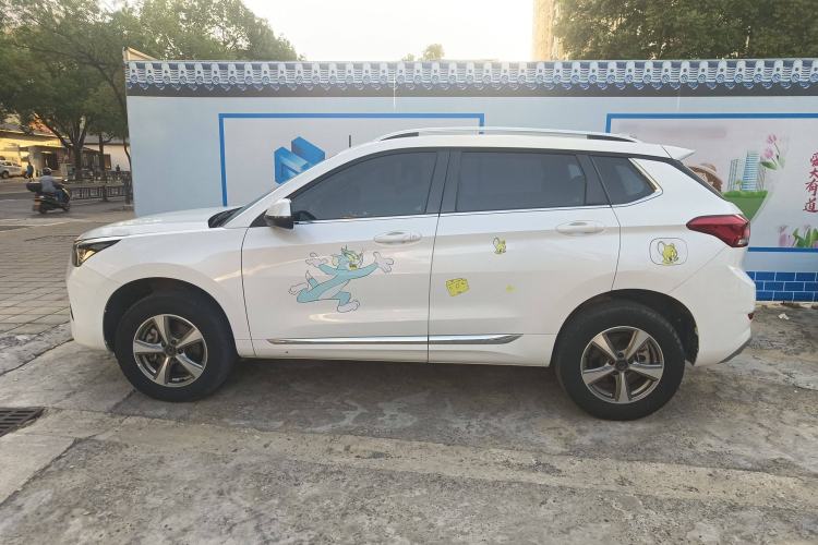 Used Haval H6 Coupe 2020 Smart Connect Version 1.5T Automatic Two-Wheel Drive Elite Model Left Side