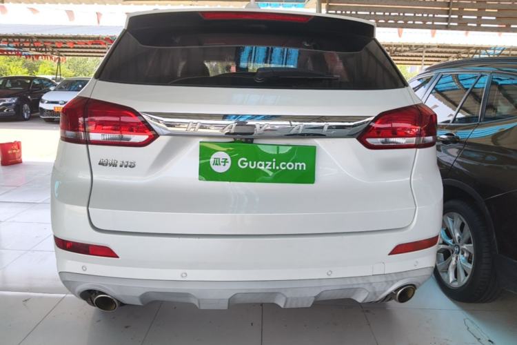 Used Haval H6 Coupe 2020 Smart Connect Version 1.5T Automatic Two-Wheel Drive Elite Model Rear