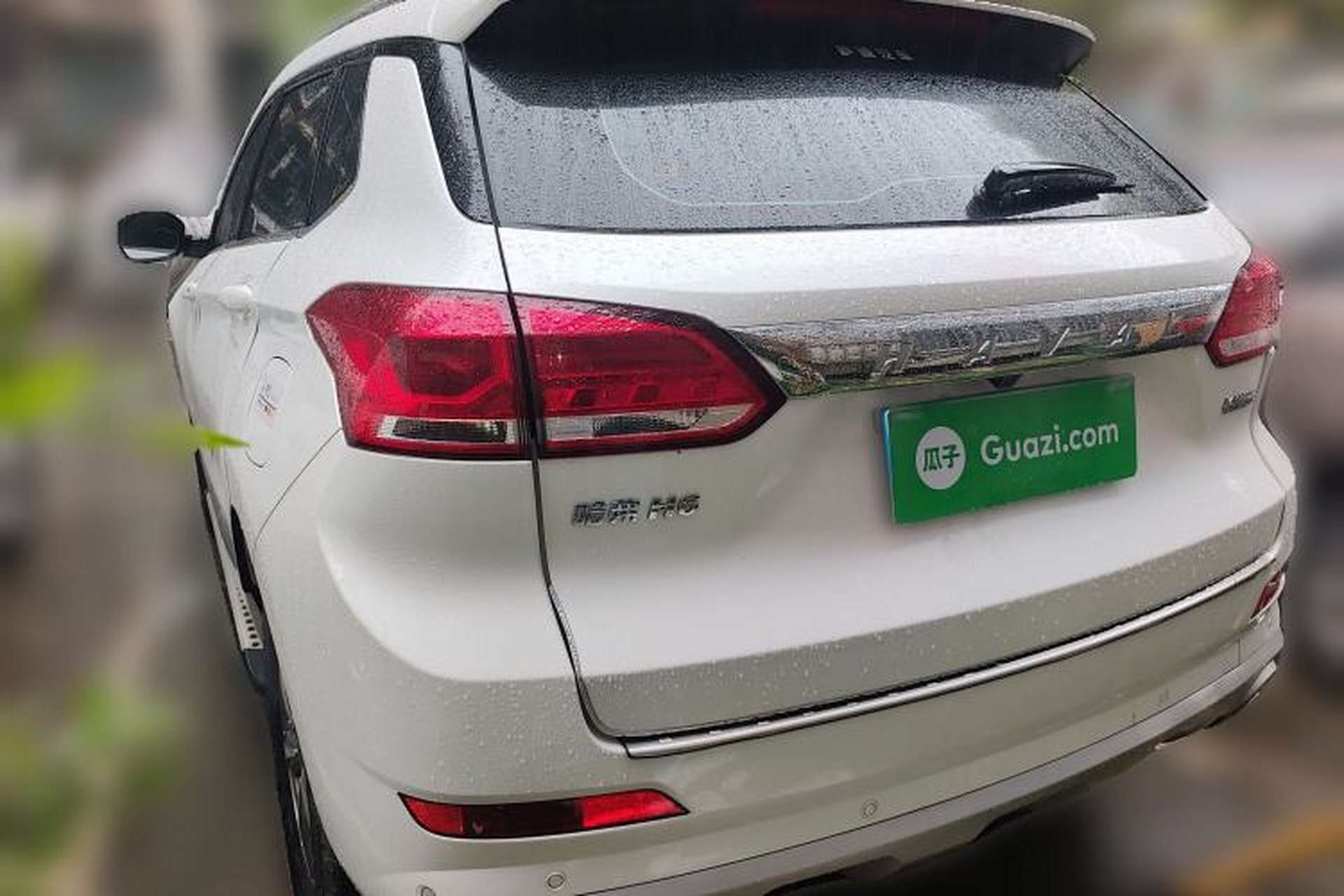 Used Haval H6 Coupe 2020 SmartConnect Edition 1.5T Automatic Two-Wheel Drive Luxury SmartConnect Model Rear Left 45 Deg