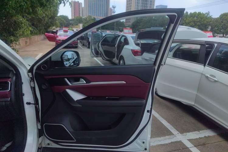 Used Haval H6 Coupe 2020 Smart Connect Version 1.5T Automatic Two-Wheel Drive Elite Model Right Front Door Interior