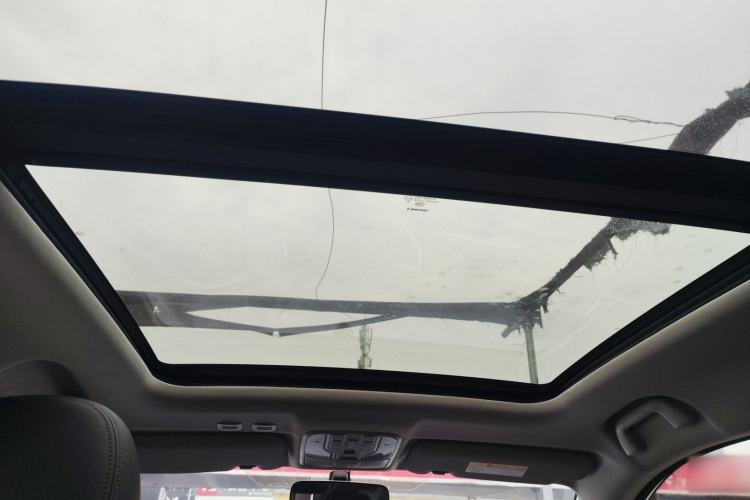 Used Haval H6 Coupe 2021 Smart Connect Version 1.5T Automatic Two-Wheel Drive Elite Model Headliner