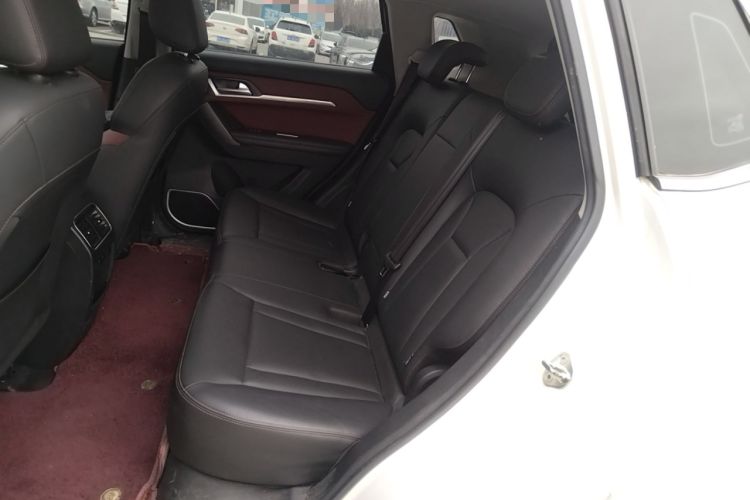 Used Haval H6 Coupe 2021 Smart Connect Version 1.5T Automatic Two-Wheel Drive Elite Model Left Rear Seat
