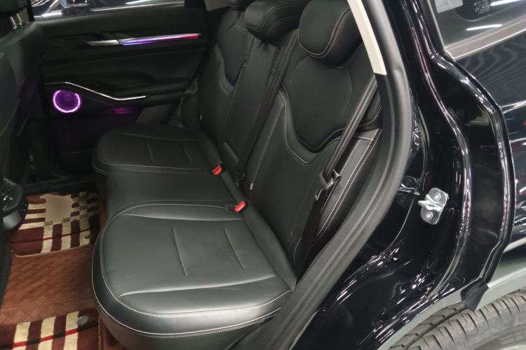 Used Haval H6 New Energy 2023 DHT-PHEV 110KM Enjoyment Edition Left Rear Seat