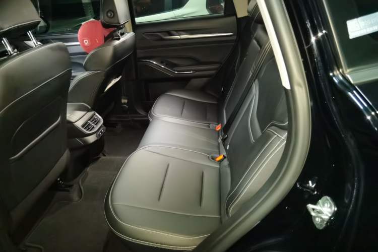 Used Haval H6 New Energy 2023 DHT-PHEV 110KM Long-Range Edition Left Rear Seat