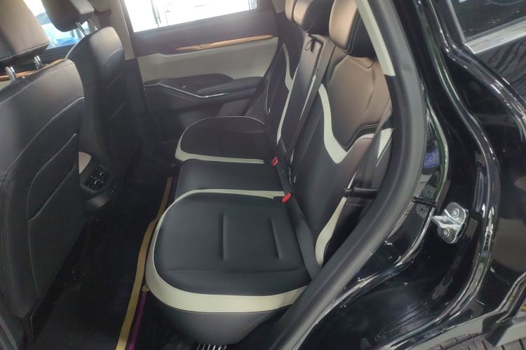 Used Haval H6 New Energy 2023 DHT-PHEV 110KM Long-Range Edition Left Rear Seat