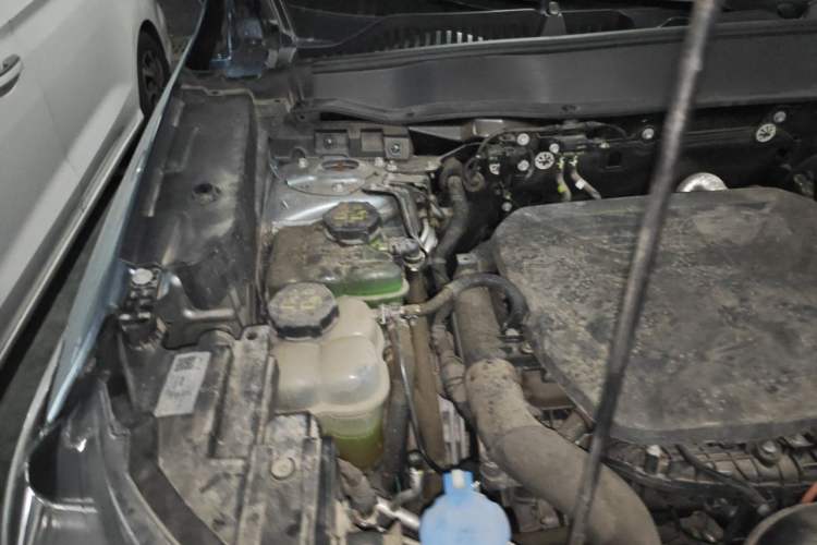 Used Haval H6 New Energy 2023 DHT-PHEV 110KM Enjoyment Edition Engine Bay Right