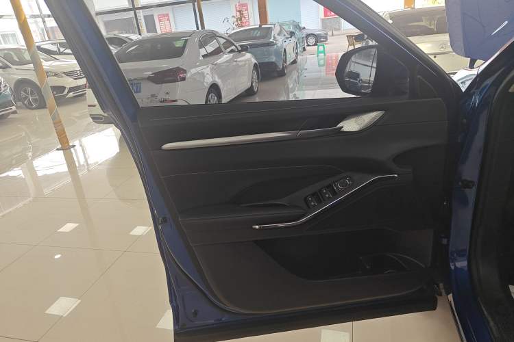 Used Haval H6 New Energy 2023 DHT-PHEV 110KM Enjoyment Edition Left Front Door Interior