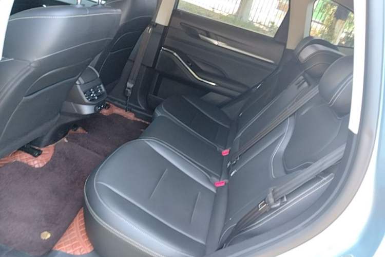 Used Haval H6 New Energy 2023 DHT-PHEV 110KM Long-Range Edition Left Rear Seat