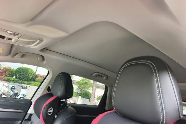 Used Haval H6 New Energy 2023 DHT-PHEV 55KM Enjoyment Edition Headliner