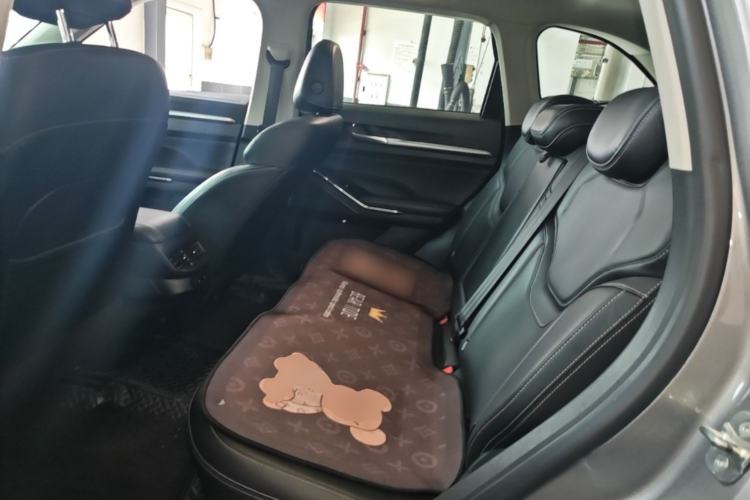 Used Haval H6 New Energy 2023 DHT-PHEV 55KM Enjoyment Edition Left Rear Seat