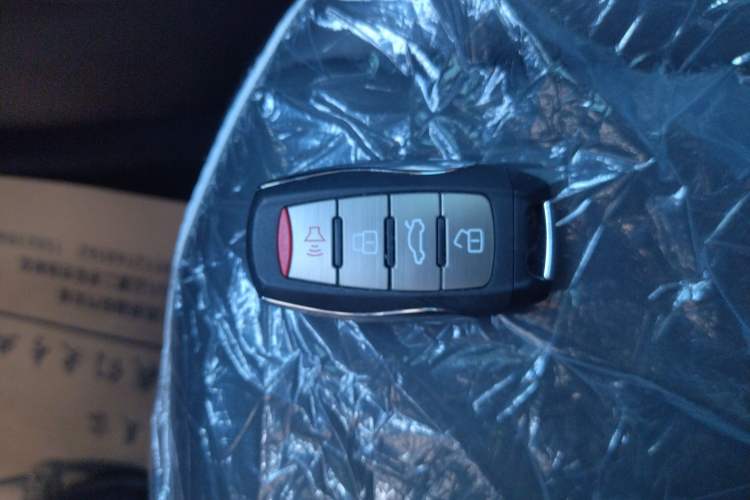Used Haval H6 New Energy 2023 DHT-PHEV 110KM Enjoyment Edition Vehicle Key